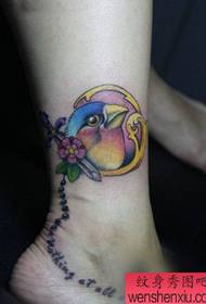 knabino Bela kolora birdo tatuaje ŝablono sur la kruro