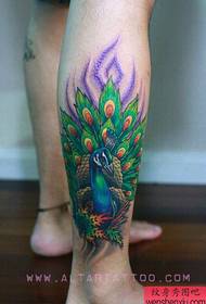 noga prekrasne boje paunova tetovaža uzorak