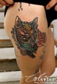 Kitten Tattoo Patterns Kitin Animals dị iche iche mara mma Kitten Tattoo. 10 Otu