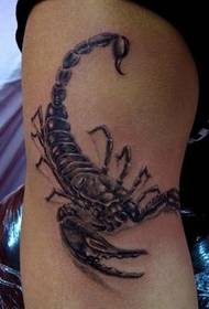 Scorpion tattoo pattern: an arm tweezers tattoo pattern