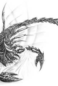 inotonhorera uye yakanaka muEurope neAmerican scorpion tattoo Manuscript