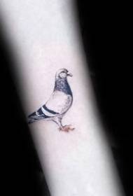 foarm fan pigeon-tatoet Feroaring fan patroan foar pigeon-tattoo