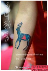 braccio Popolare popolare modello di tatuaggio di cervo