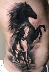 une variété de motif de tatouage de cheval animal design