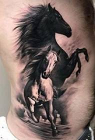 una varietà di modelli di tatuaggi di cavalli animali di design
