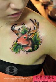 tatuaggio popolare della ragazza sulla spalla della ragazza 132922 - torace della ragazza che resta Soggetto modello tatuaggio gatto