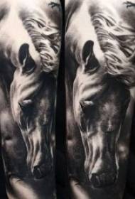 кінь татуювання візерунок 10 чорний сірий або пофарбований татуювання тварина кінь візерунок