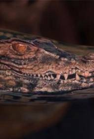 крокодил тетоважа узорак 9 жестоких и окрутних дизајна тетоважа крокодила