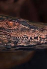 Krokodil Tattoo Muster 9 schaarf a grausam Krokodil Tattoo Motiver