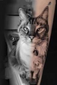 gambar realistis dari sekelompok tato hewan peliharaan kucing dan anjing