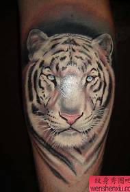 iphethini emhlophe ye-tiger emhlophe on ithole