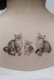 tetovanie pre mačky - 9 tetovacích vzorov s tetovaním pre domáce zviera na tele