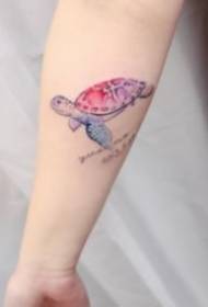 kleng Schildkröt Tattoo ganz kleng frësch Faarf Schildkröt Tattoo Bild