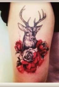 patrún tattoo fawn patrún tattoo fianna deas deas