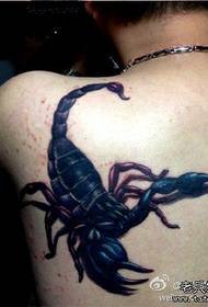 muški ramena cool uzorak tetovaža škorpiona
