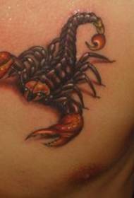 model de tatuaj scorpion: model de tatuaj scorpion de culoare pieptului