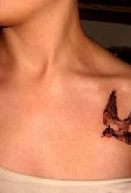 Colored Various Style Animal Pattern Tattoo Swallow