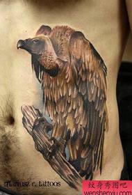 Un classico modello di tatuaggio avvoltoio sull'addome maschile