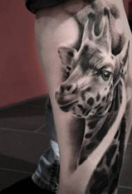 Patró de tatuatge de girafa bonic patró de tatuatge de girafa bonic