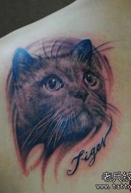 肩背一幅猫咪纹身图案