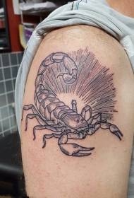 ScorpionPicture tattoo ng iba't ibang mga pagpapataw ng mga disenyo ng tattoo ng alakdan