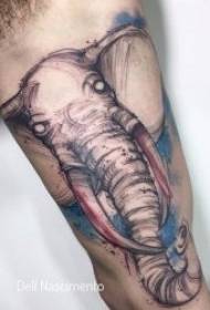 Gyvūnų tatuiruočių modeliai 10 skirtingų rūšių gyvūnų tatuiruočių modelių