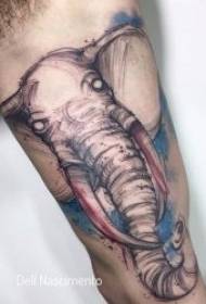Modelli di tatuaggi di animali 10 diversi tipi di modelli di tatuaggi di animali