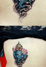 girls back cute cute Baby elephant tattoo pattern