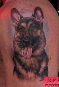 a picture Tama dog tattoo on the big arm