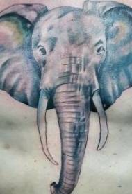 слон татуювання візерунок 10 моделей Незграбний малюнок татуювання слона