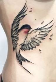 çend swallows elegant û dînamîk ên Watercolor û sêwiranên sêwiranê yên teyran ên din dixebitin