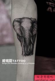 i ragazzi armano un classico modello di tatuaggio elefante grigio nero
