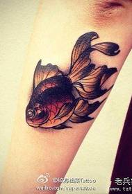 kicsi és kicsi népszerű aranyhal tetoválás minta