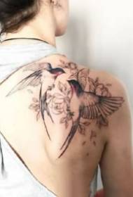 rondine tatuaggio 9 gruppi di eleganti e leggeri rondini mappa del tatuaggio tema
