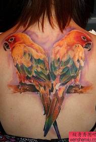 vajzë Pjesa e prapme e modelit klasik të tatuazheve me papagall klasik