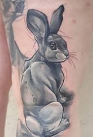 varios diseños de tatuajes de colores de agua de animales individuales
