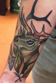 Tattooиво тетоважа на животните, бајле, жива шема на тетоважи на животните