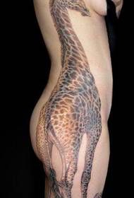ຄວາມງາມຂອງແອວແອວເປັນຮູບແບບ tattoo giraffe
