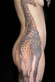 vita laterale di bellezza un modello tatuaggio giraffa