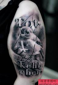 paže vynikajúce populárne tetovanie malý vrabec