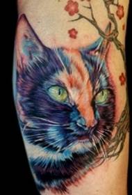tatuaggio colorato di vari stili tatuaggio gatto modello animale