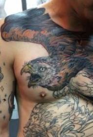 djur tatuering mönster olika olika djur tatuering mönster att njuta av
