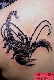 model de tatuaj scorpion: un model de tatuaj scorpion de umăr