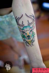 女臂流行好看的鹿紋身圖案