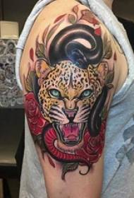 Baile dzīvnieku tetovējums ar dažādu krāsu gleznotu tetovējumu skici Baile dzīvnieku tetovējums