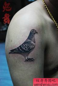 sab caj npab nrov classic pigeon tattoo qauv
