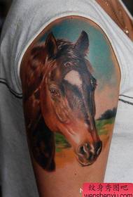 un disegno del tatuaggio testa di cavallo sul braccio grande