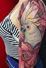 Variety Painted watercolor sketch creative domineering classic animal tattoo pattern