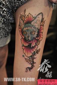 mergaičių kojos populiari šauni katė su gėlių tatuiruotės modeliu