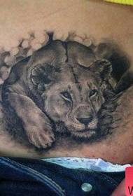 knabina ventro klasika leona tatuaje-ŝablono